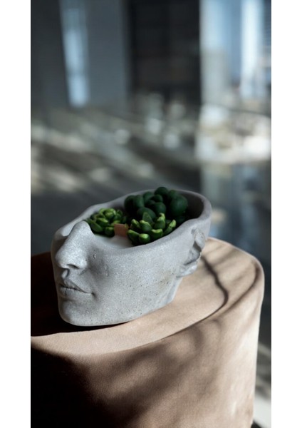 Soya Wax Sukulent Mum Beton Yüz Dekoratif Kokulu Sandal Kokulu