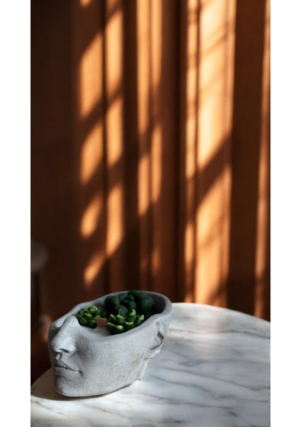 Soya Wax Sukulent Mum Beton Yüz Dekoratif Kokulu Sandal Kokulu fiyatları