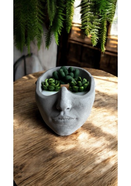 Soya Wax Sukulent Mum Beton Yüz Dekoratif Kokulu Sandal Kokulu modelleri