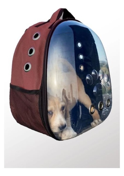 Deri Astronot Kedi ve Köpek Taşıma Çantası Bordo Renk
