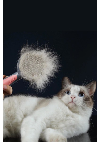 Otomatik Tuşlu Kendini Temizleyen Kedi Köpek Tarağı