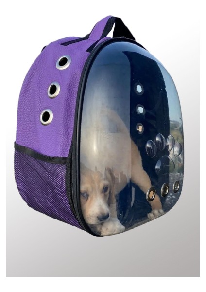 Deri Astronot Kedi ve Köpek Taşıma Çantası Mor