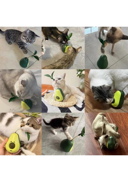 Avokado Şeklinde Kedi Naneli ve Mama Hazneli Kedi Oyuncağı