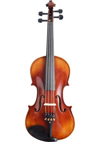 Dominguez Profesyonel Keman 4/4 (DVPG44-P1) indirimleri