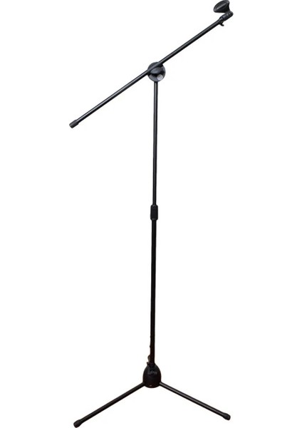 Solist ve Enstrüman Mikrofonu Standı XMS100B fırsatları