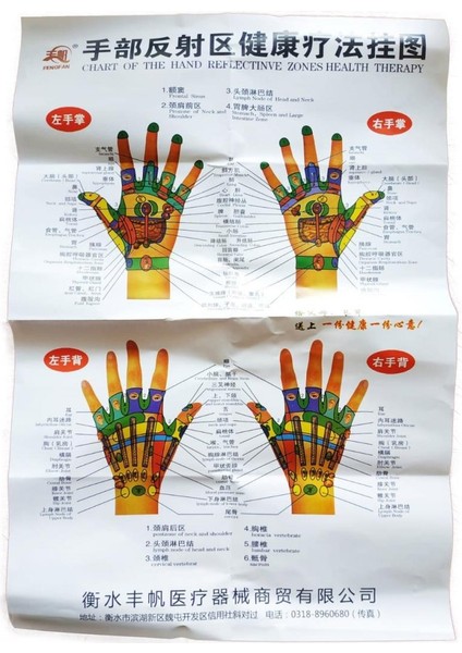 El Maketi Akupunktur Noktaları 835 fiyatları