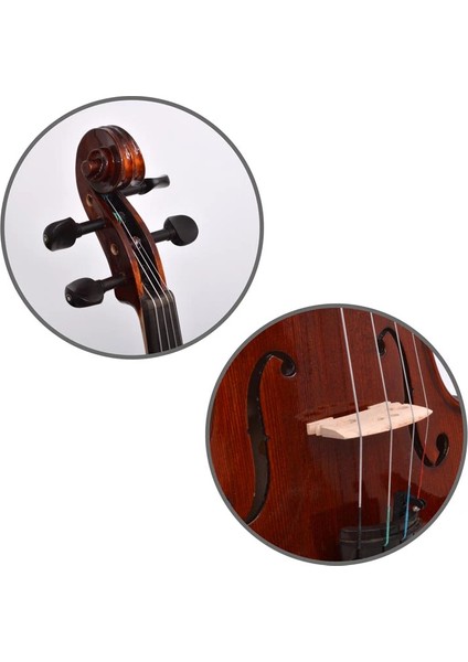 Viyola 4/4 Dominguez Profesyonel DVAP44 modelleri