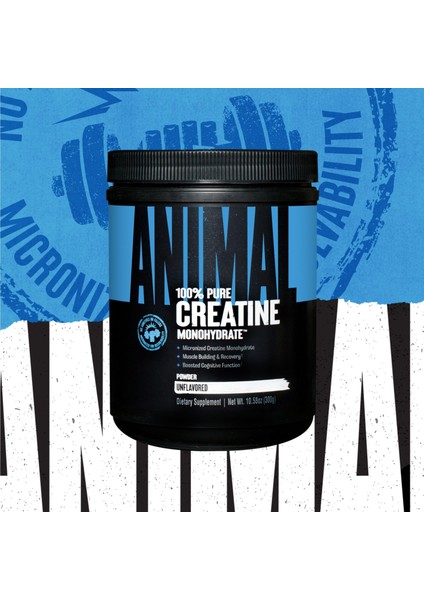 Animal Creatine(Kreatin) Monohydrate(Monohidrat) 300 gr - 60 Servis (Amerikan Versiyon)