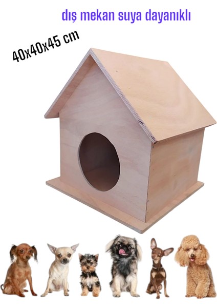 Ahşap Köpek Yuvası Kafesi Köpek Evi Kulübesi Dış Mekan Suya Dayanıklı 40X40X45 cm