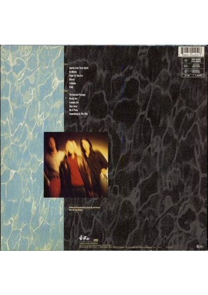 Nirvana Nevermind Plak fiyatları