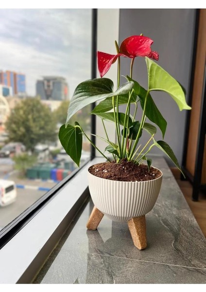 ELF-496 Dekoratif Ayaklı Nostalji Saksı 9 Lt modelleri