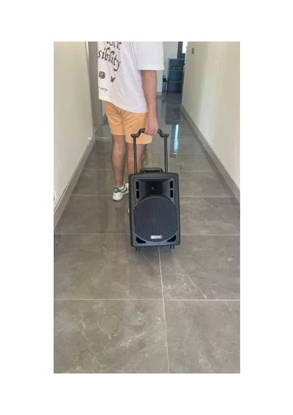 MP1010 10" Sokak Müzisyenleri için Taşınabilir Akülü Portatif Hoparlör Sistemi 300W