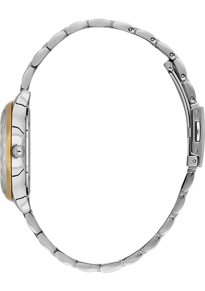 Danıel Kleın DKE.1.10868-4 Kadın Kol Saati fiyatları