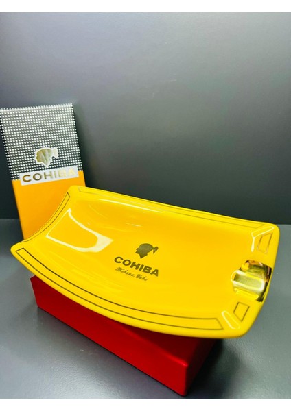 Özel Tasarım Seramik Premium Puro Küllüğü