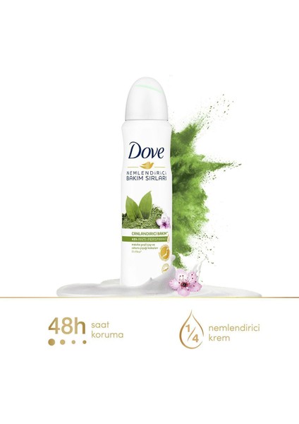 Kadın Sprey Deodorant Bakım Matcha Yeşil Çay ve Sakura Çiçeği 150 ml X3 Adet