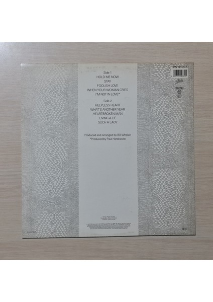 - Hold Me Now (1987 Eurovision Winner) - 1987 - Dönem Baskı Plak - Longplay - Lp