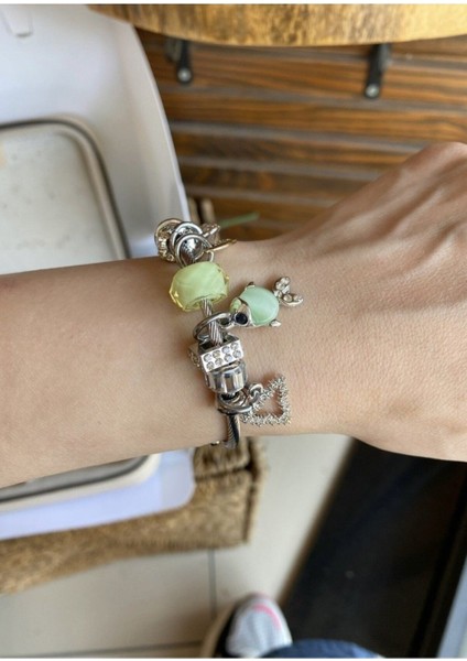 Balık Detay Çelik Kordon Charm Bileklik Matcha Yeşil fiyatları