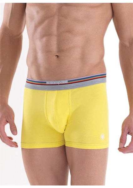 Blackpade Erkek Colour Boxer 9550