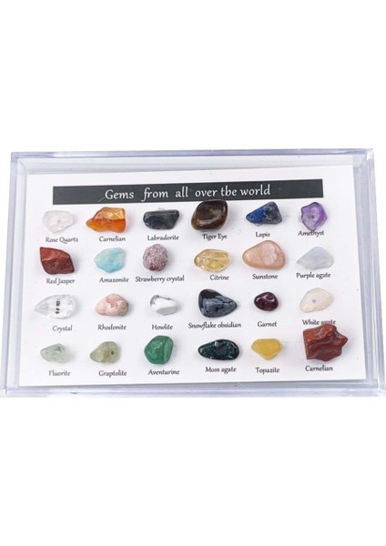 24 Adet Mineral Mücevher Seti Eğitici Jeoloji Mücevher Seti Mücevher Seti Çocuklar Kaya Koleksiyonu Hediyeler (Yurt Dışından)