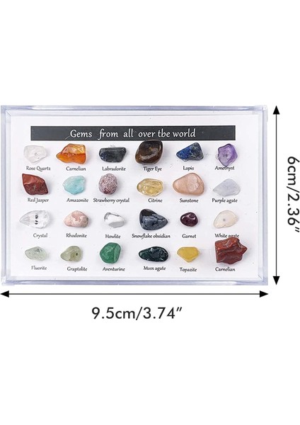 24 Adet Mineral Mücevher Seti Eğitici Jeoloji Mücevher Seti Mücevher Seti Çocuklar Kaya Koleksiyonu Hediyeler (Yurt Dışından)
