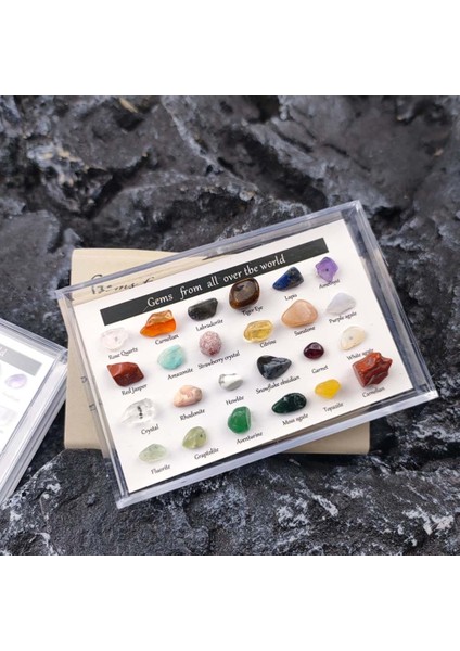24 Adet Mineral Mücevher Seti Eğitici Jeoloji Mücevher Seti Mücevher Seti Çocuklar Kaya Koleksiyonu Hediyeler (Yurt Dışından)