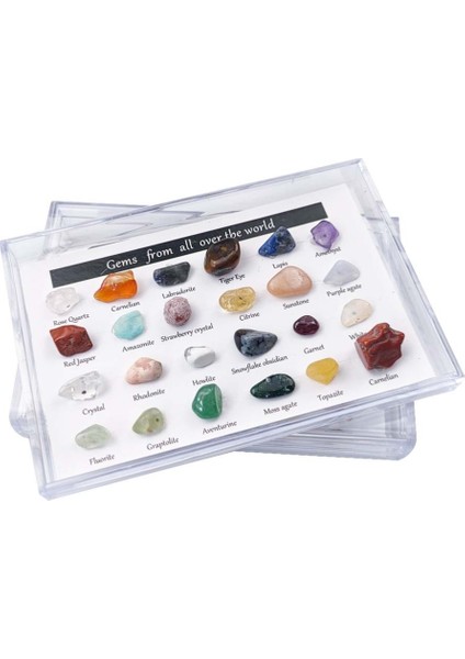 24 Adet Mineral Mücevher Seti Eğitici Jeoloji Mücevher Seti Mücevher Seti Çocuklar Kaya Koleksiyonu Hediyeler (Yurt Dışından)