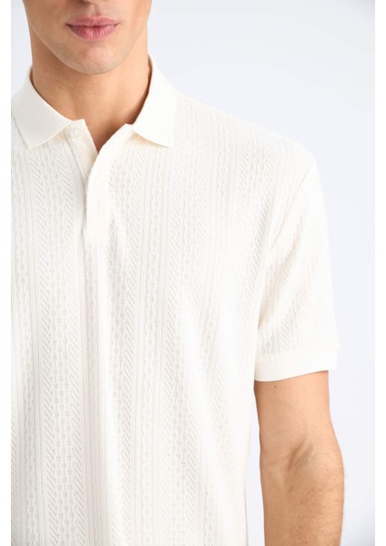 Regular Fit Polo Yaka Kısa Kollu Triko Tişört C4140AX25SM indirimleri