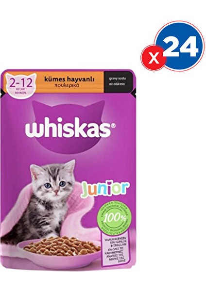 Whiskas Kümes Hayvanlı Yavru Yaş Kedi Maması 85 GRX24'LÜ