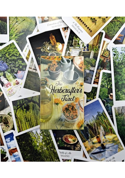 3 Göz Stili Efsanelerin Tarot Kartı Deniz Kızları Manara Tarot Güverte Binicisi Noel Herbcrafters Masa Oyunu Kişisel Kullanım Için Ingilizce Versiyonu (Yurt Dışından) fırsatları