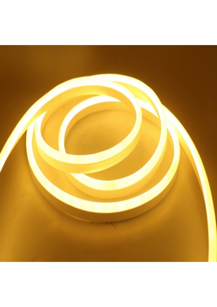 Molled 5 mt 10W 12V 3000K Neon LED