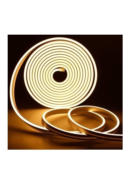 Molled 5 mt 10W 12V 3000K Neon LED