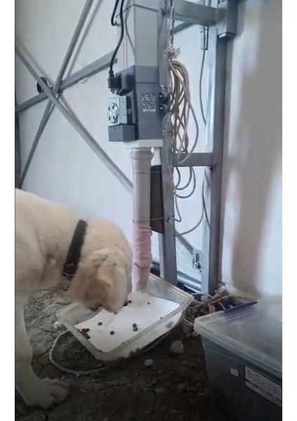 Otomatik Köpek Mama Makinesi