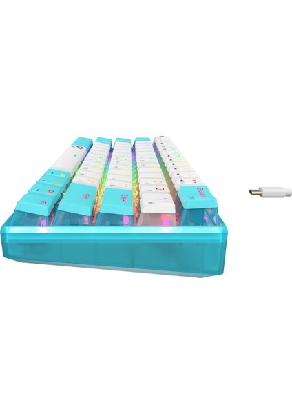 Gamenote KB903L %60 Mekanik Blended Aydınlatma Oyuncu Klavyesi - 61 Tuş