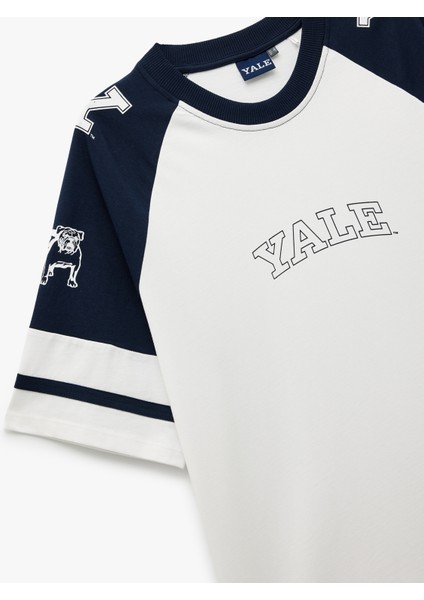 Pamuklu Baskılı Kısa Reglan Kollu Bisiklet Yaka Renk Bloklu Oversize Lisanslı Yale Tişört