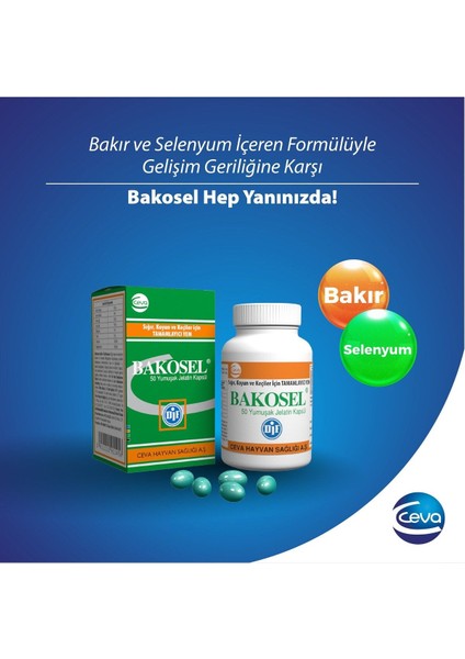 Bakosel Sığır ve Koyunlar Için Tamamlayıcı Yem 50 Kapsül