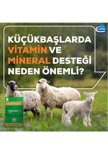 Bakosel Sığır ve Koyunlar Için Tamamlayıcı Yem 50 Kapsül