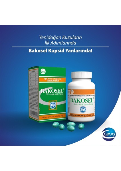 Bakosel Sığır ve Koyunlar Için Tamamlayıcı Yem 50 Kapsül