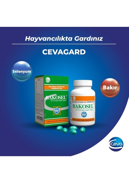 Bakosel Sığır ve Koyunlar Için Tamamlayıcı Yem 50 Kapsül