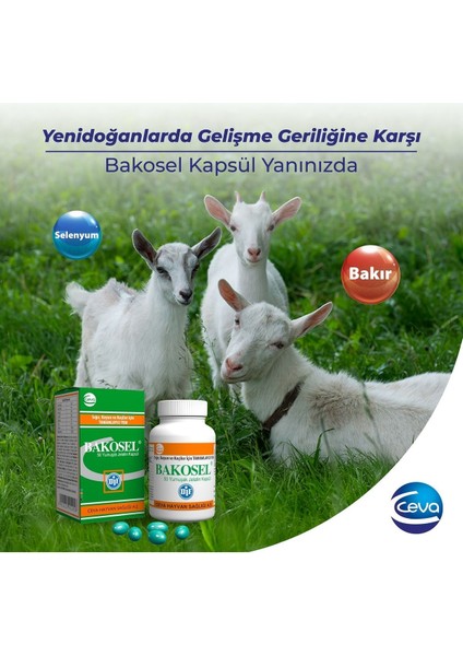 Bakosel Sığır ve Koyunlar Için Tamamlayıcı Yem 50 Kapsül