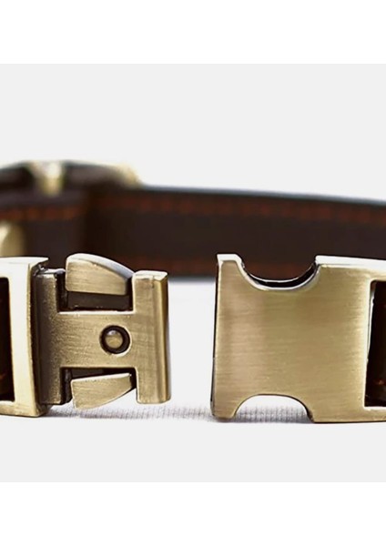 Kedi Tasması, Köpek Tasması, Hakiki Deri Tasma, Boyun Tasması modelleri