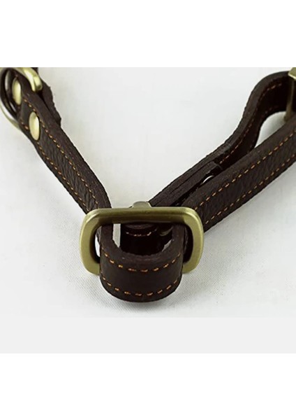 Kedi Tasması, Köpek Tasması, Hakiki Deri Tasma, Boyun Tasması fırsatları