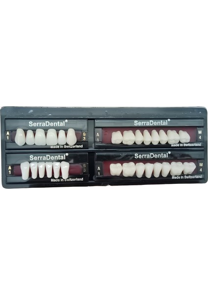 Serra Dental Diş Hekimliği Öğrencileri Için Eğitimi Amaçlı Akrilik Yapay 28'lik 1 Takım Diş