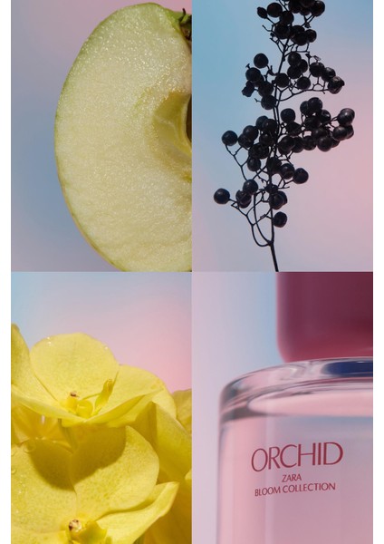 Orchıd Edp 90ML (3.04 Fl. Oz).