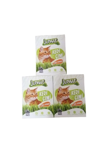 Kedi Çimi Kutulu (Fileli) 3lü