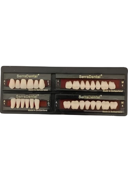 Dental Diş Hekimleri ve Öğrencileri için Eğitimi Amaçlı Akrilik Yapay 28'lik 4 Takım Diş fırsatları