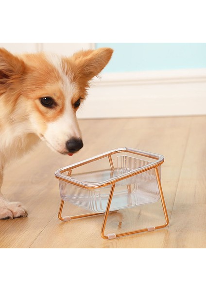 Seramik Evcil Hayvan Mama Kasesi Çok Amaçlı Şık Yükseltilmiş Tasarım Servikal Omurga Koruma Kedi Maması Kasesi Kediler Köpekler Evcil Hayvanlar Için 300ML Açık Yeşil (Yurt Dışından)