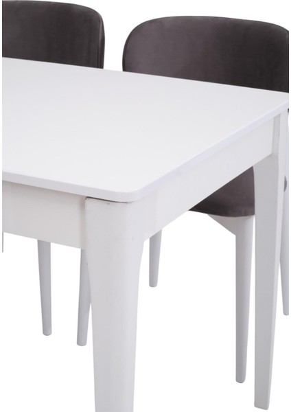 Paris Norte Lak Panel Mutfak Masa Sandalye Takımı 80X130CM fiyatları