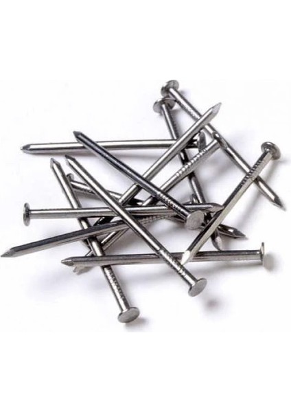 Inşaat Çivisi 6'lık (6cm x 2,80MM) fiyatları