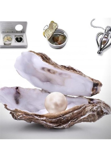 Birlikte Yaşlanalım Sevgiliye Özel Kupa ve Istiridye Kolye Hediye Seti fırsatları