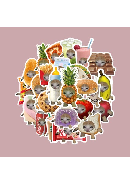 Şapşal Kedi Sticker Paketi -Bullet Journal - Ajanda - Planner - Defter - Laptop Etiket Çıkartma Çok Renkli 10 x 15 Paket Boyutu 3 x 5 cm Stickerlar Paket Içeriği 25 Adet Dadi Ramba Sticker